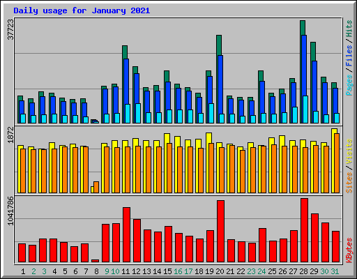 Daily usage for January 2021
