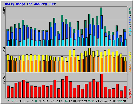 Daily usage for January 2022