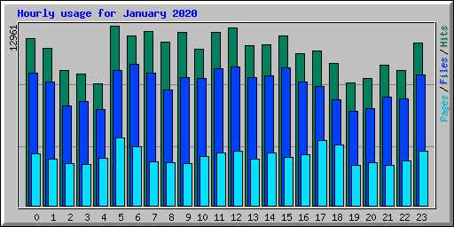 Hourly usage for January 2020