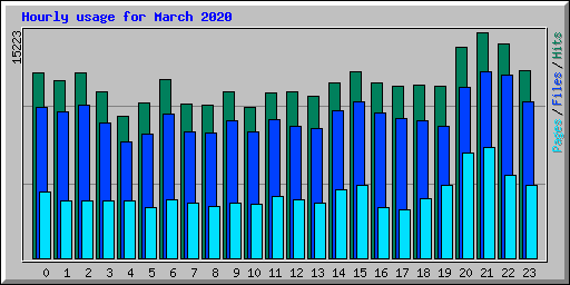 Hourly usage for March 2020