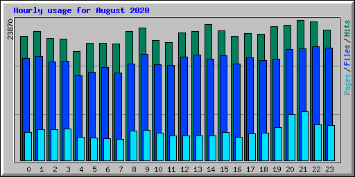 Hourly usage for August 2020