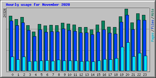 Hourly usage for November 2020