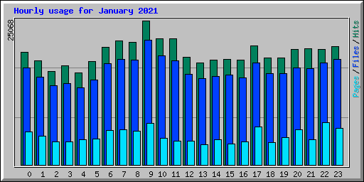 Hourly usage for January 2021