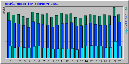 Hourly usage for February 2021