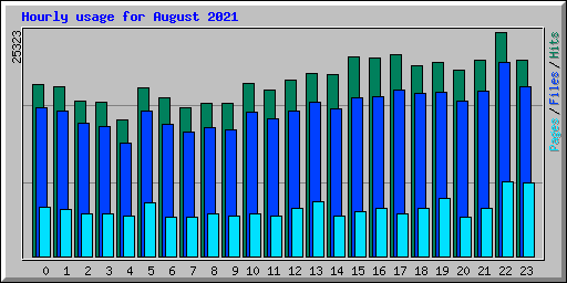 Hourly usage for August 2021