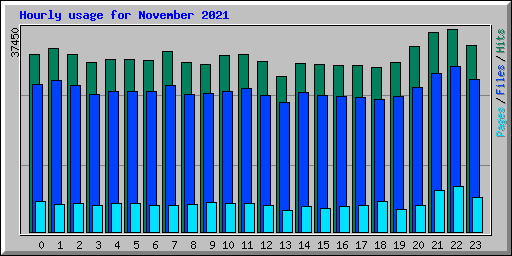 Hourly usage for November 2021