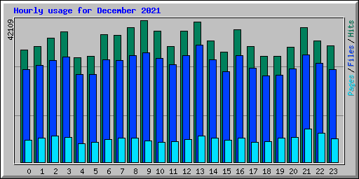 Hourly usage for December 2021