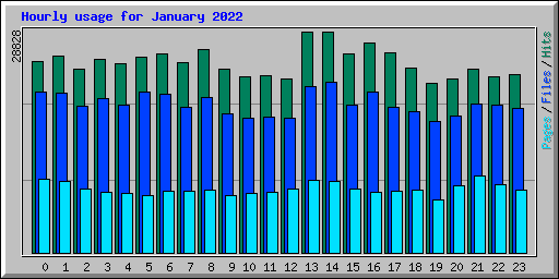 Hourly usage for January 2022