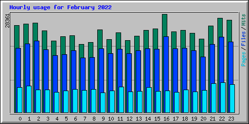 Hourly usage for February 2022