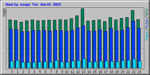 Hourly usage for March 2022