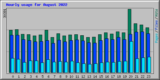 Hourly usage for August 2022